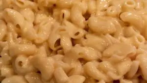 Macaroni Pasta