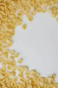 alt="" Conchiglie Pasta