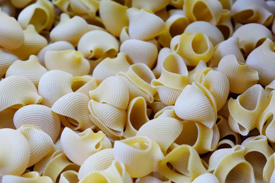 Lumache pasta noodles showing the unique snail-shell shape and ridged texture